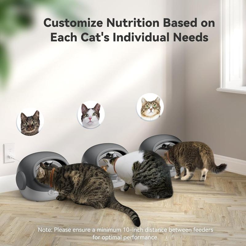 Cat food dispenser with collar hotsell