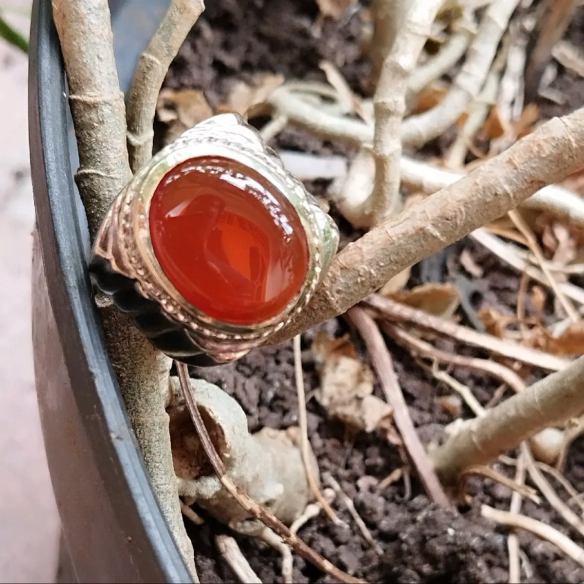 akik Anggur Cempaka Madu ori baturaja asli natural