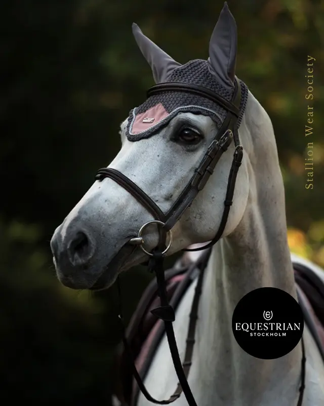 jump saddlepad alas duduk kuda dan ear bonner stockholm olahraga berkuda horse riding 5