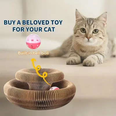 98f5b022a4754903b61280086ac36c