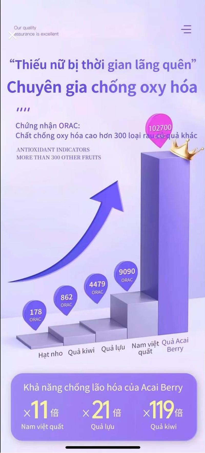 Product Introduction of Bột nước ép từ trái Acai berry (Nam việt quất), thành phần lành tính chiết xuất hoàn toàn từ thực vật 3