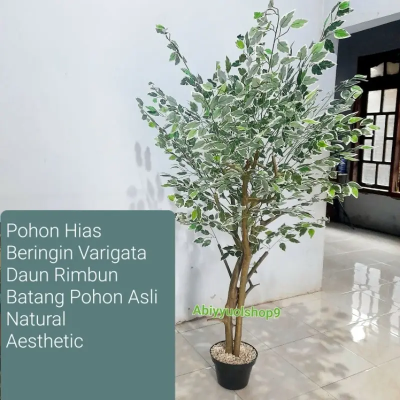NEW ARRIVAL Pohon Hias Artificial Beringin Varigata 2 batang pohon Daun Rimbun Lebat || Natural Aesthetic 0