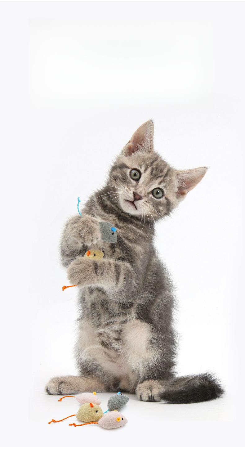 Product Introduction of 1X New Mint Toy Cat Toy Plush Herbal Mouse Cute Scratch-Resistant Interactive Pet Supplies 22