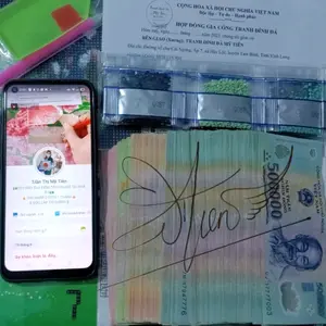 Tranh đính đá Mỹ Tiên