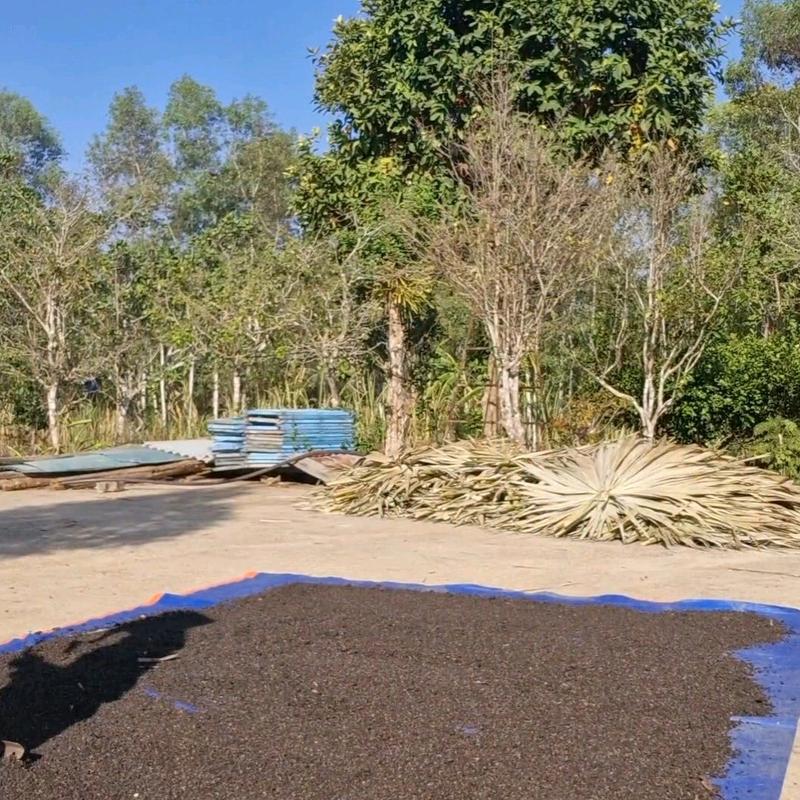 túi 500g phân dơi nguyên chất, phơi khô, túi zip tiện lợi có nhãn dán 2