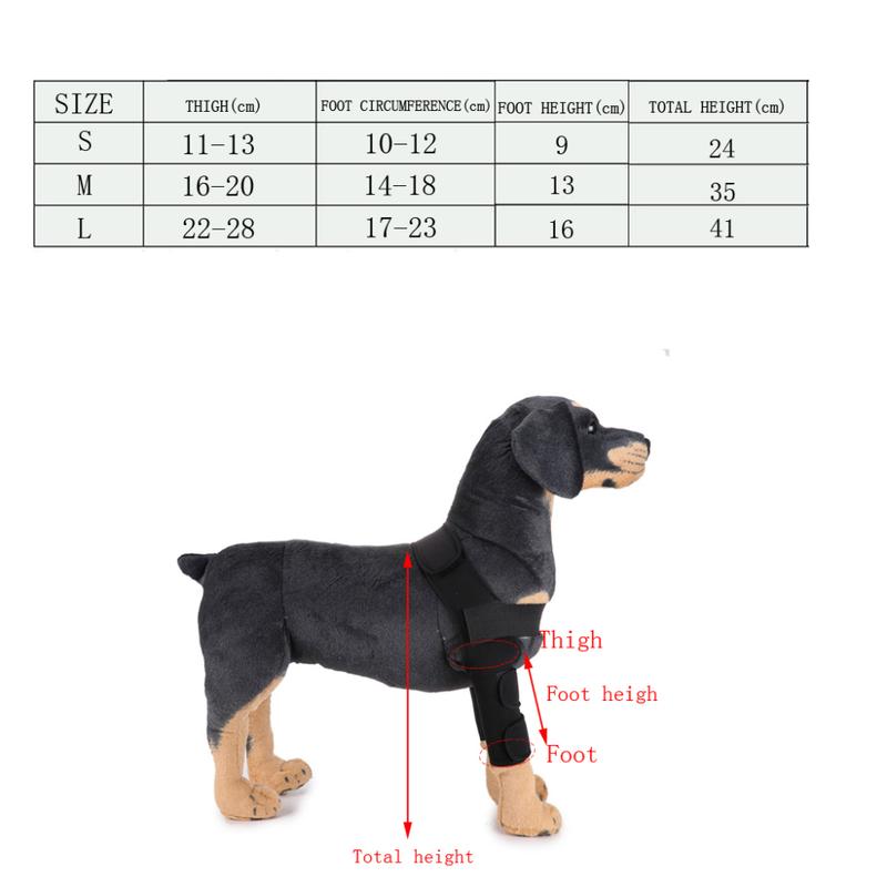 Product Introduction of Dog Leg Knee Leg Joint Support Prevents Injuries and Sprains 2