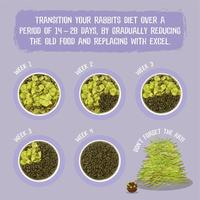 Gambar BURGESS EXCEL INDOOR RABBIT 1.5kg / makanan kelinci premium dari Onel Pets Store Kab. Tangerang 3 Tokopedia