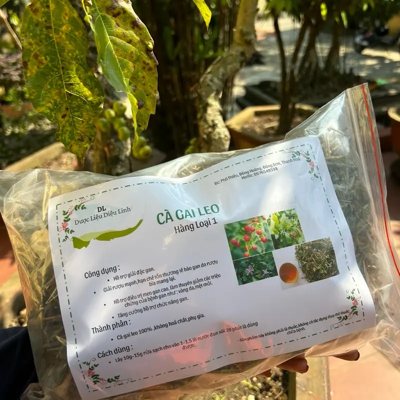 500g Cà Gai Leo ( Hàng Loại 1) hỗ trợ thanh lọc cơ thể ,mát gan ,giải độc 0