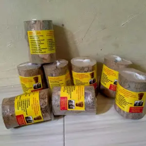 KAYU ULAR PAPUA (kayu songga) ,kayu  untuk asam urat kolesterol dan masih banyak lainnya. obat