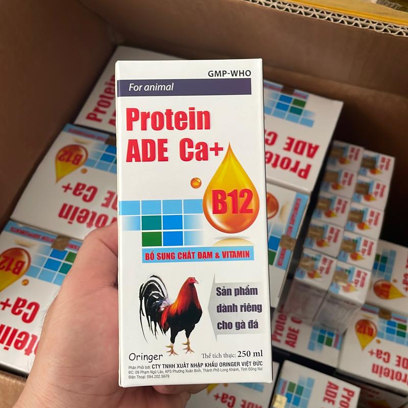 1 chai Protein ADE Ca+ B12 (250ml) thuốc nuôi bổ sung b12 cao, đạm protein săn chắc cơ bắp, tăng cơ, giảm mỡ, gà lên cân, khoẻ gà, sung, hừng, tăng nước máu trên gà đá, gà đòn (dạng lỏng)