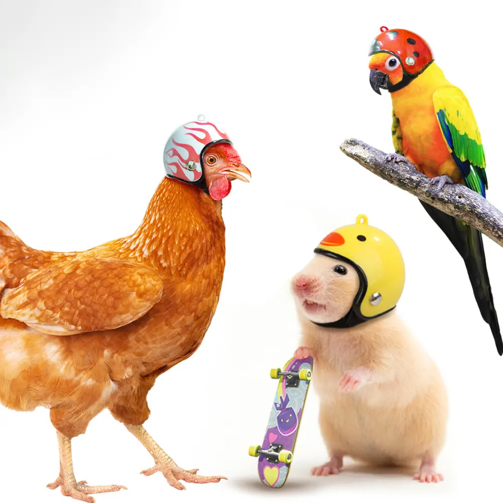 Spot creative new funny pet poultry chicken, bird helmet protection hen hat bird hat headgear