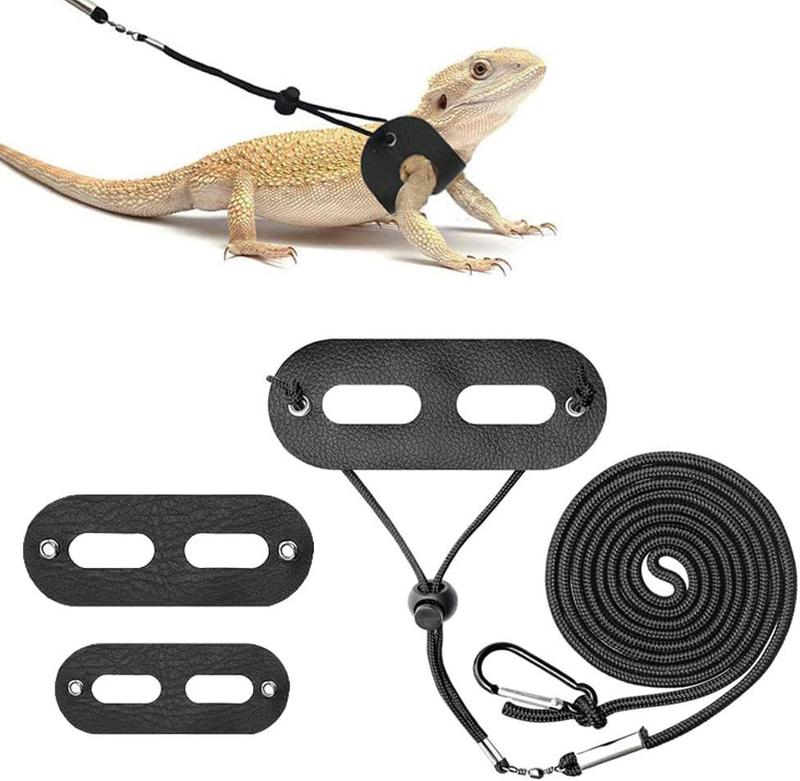 Product Introduction of [Three-Piece Set] Little Crocodile Lizard Outdoor Costume Little Devil Leash with Wings Reptile Little Crocodile Clothes 6