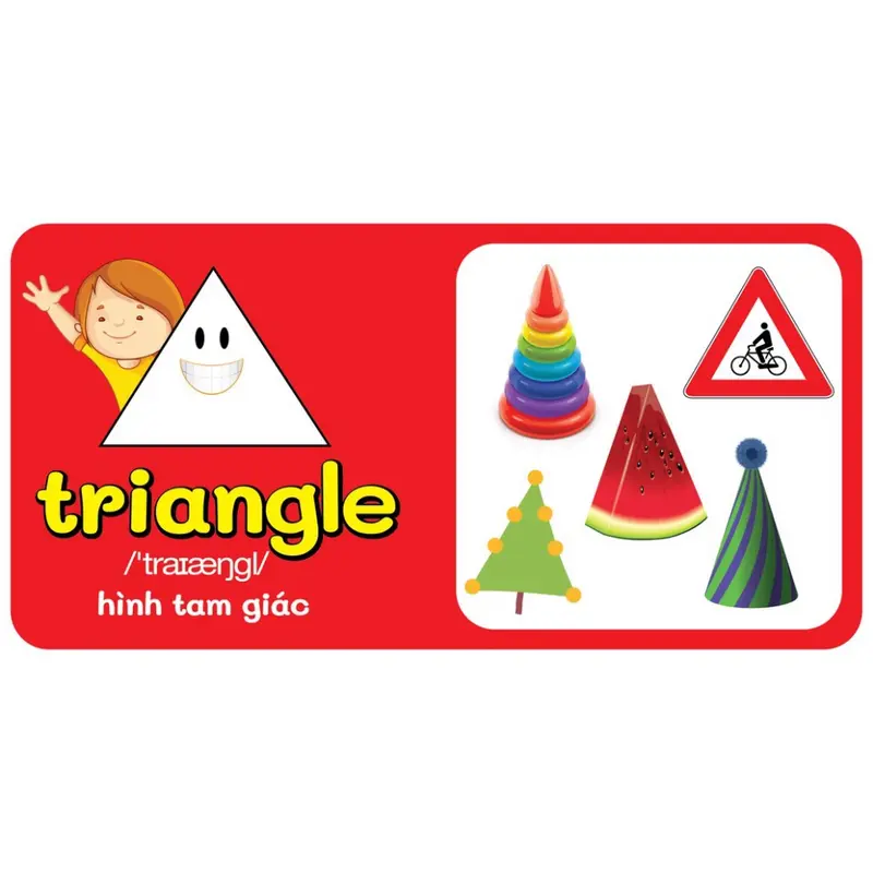 Sách - Trọn Bộ 9 Quyển Từ Điển Bằng Hình Đầu Tiên Của Bé Từ 0-6 tuổi - Anh- Việt (Các trang đều là Bìa Cứng -HỒNG) 6
