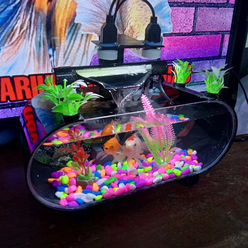 Akuarium akrilik Ikan Hias 3