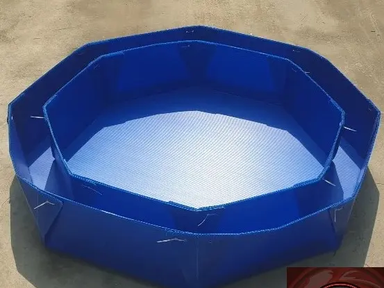 Khay nhựa tròn Miền Nam - Đường kính: 105cm và 85cm, thành cao 20cm - Dùng để úp bội gà nòi và gà tre