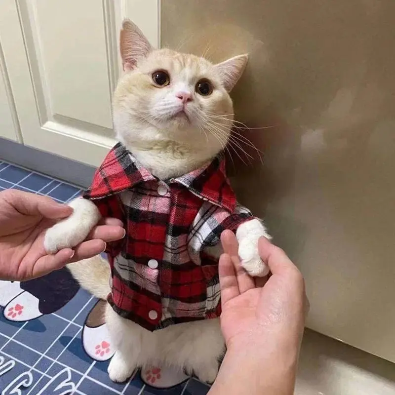 Pakaian Anjing, Saiz XS-XL, Baju Haiwan Peliharaan, untuk Anjing dan Kucing Kecil dan Sederhana, Fesyen, Rekaan Berpetak Sejuk, Kostum Anak Anjing dan Kucing, Sesuai untuk Musim Bunga dan Musim Luruh, Pakaian Kasual Haiwan Peliharaan