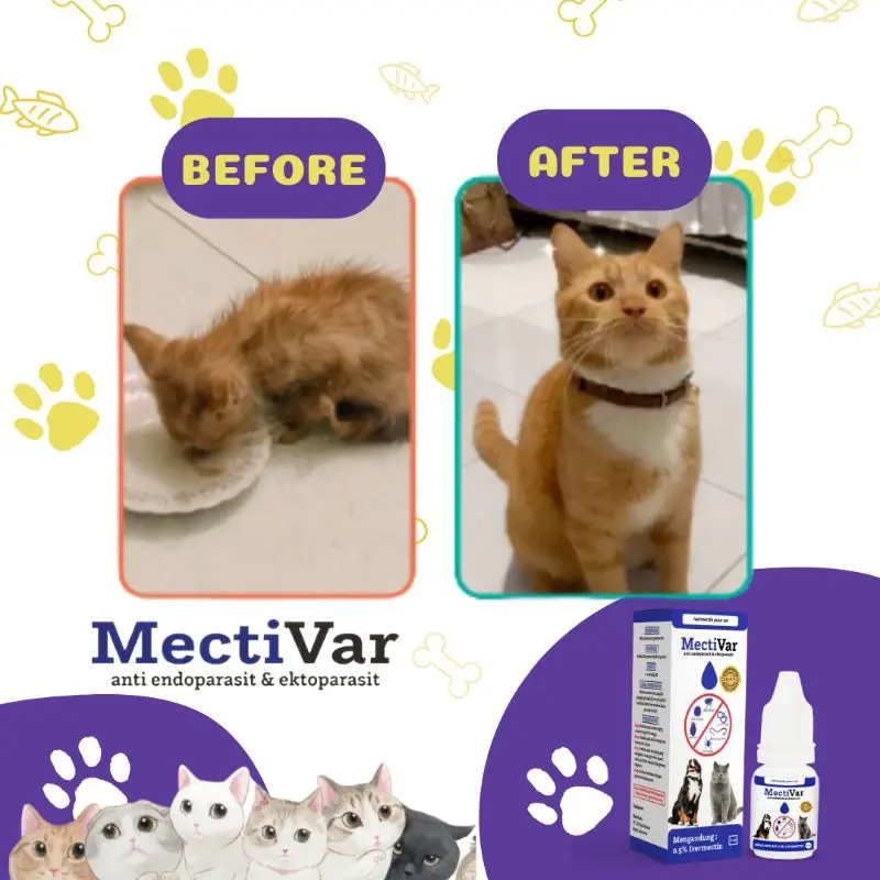 Satwagia - MectiVar Obat Tetes Kutu Cacing Anti Parasit Anjing Kucing 3