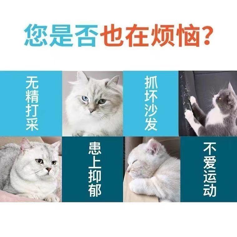 Product Introduction of Đồ Chơi Mèo, Thiết Kế Hình Mèo Vui Nhộn Dụng Cụ Hữu Ích, Có Lông Vũ Và Chuông, Que Vít Thép Siêu Dài, Đầu Trêu Chọc Mèo, Có Thể Nạp Lại, Giảm Tương Tác, Bán Chạy Trong 30 Ngày, 4931 Mảnh 4