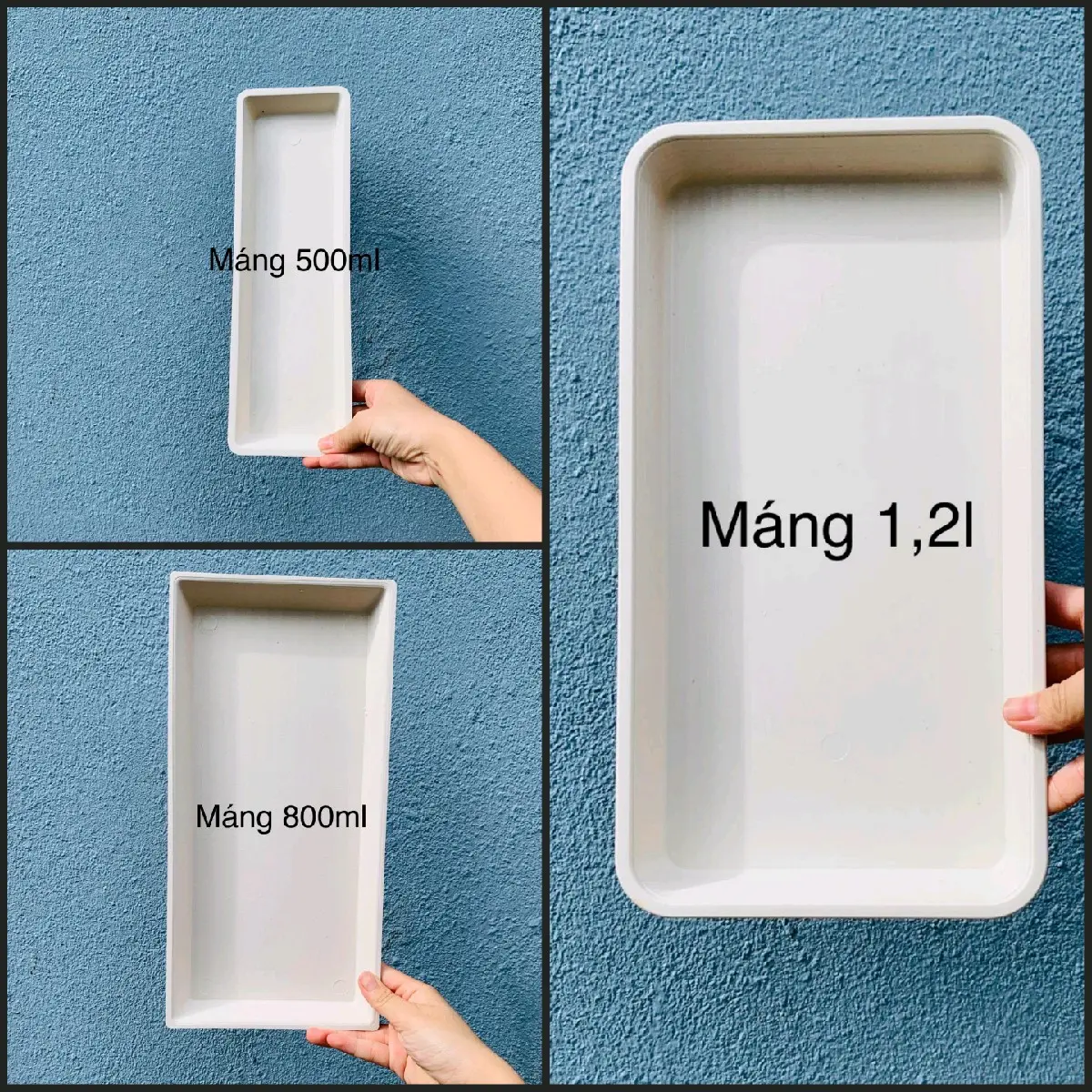 Máng ( khay) cho ong ăn các loại