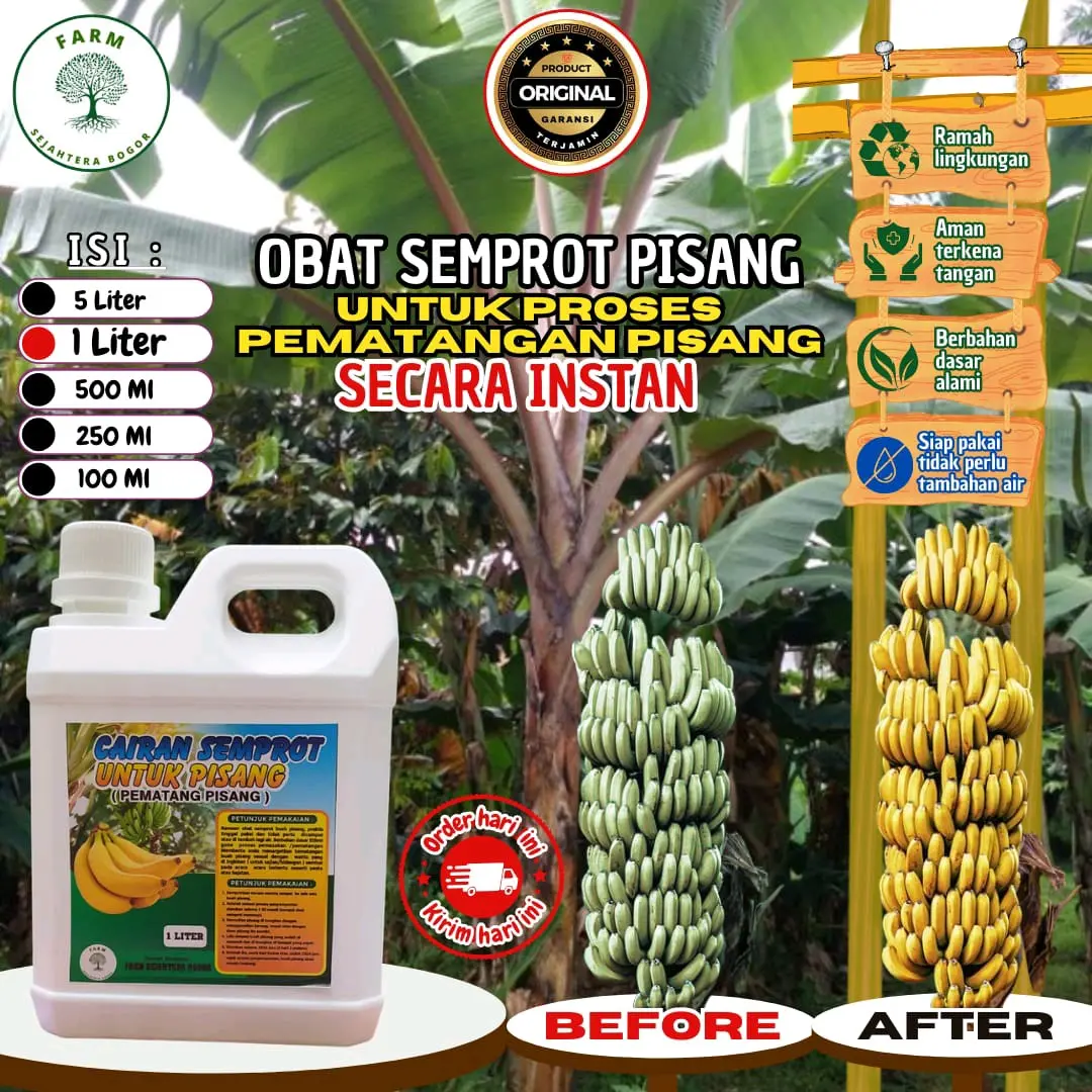 cairan pematang buah pisang karbit [ukuran 1 liter ] Daun Obat