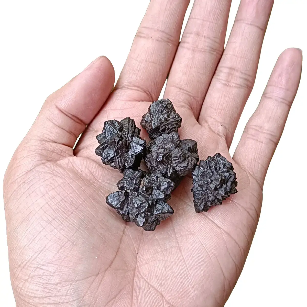 Natural Egyptian Prophecy Stone Specimen