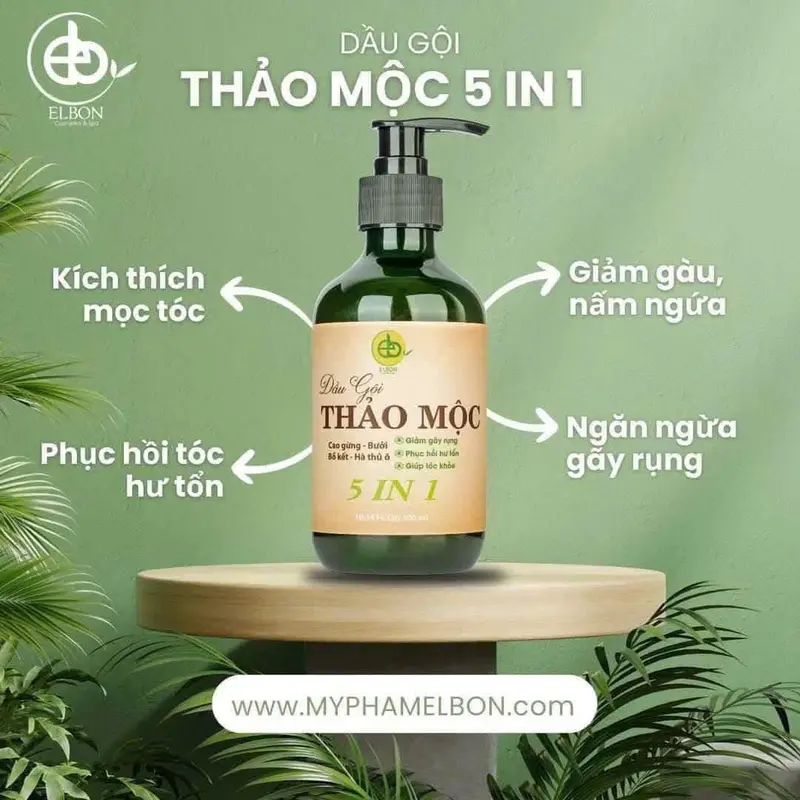 Dầu Gội Thảo Mộc 5in1 Elbon 300ml - Giảm Khô Xơ, Gãy Rụng, Phục Hồi Tóc Hư Tổn 1