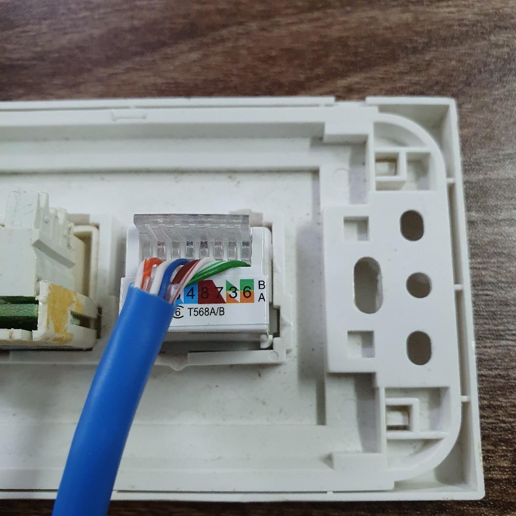 Hạt mạng &acirc;m tường RJ45 tự đ&oacute;ng cat6, m&atilde; HB-8040, d&ugrave;ng để bấm đầu d&acirc;y mạng (Vừa mặt sino tr&ograve;n)