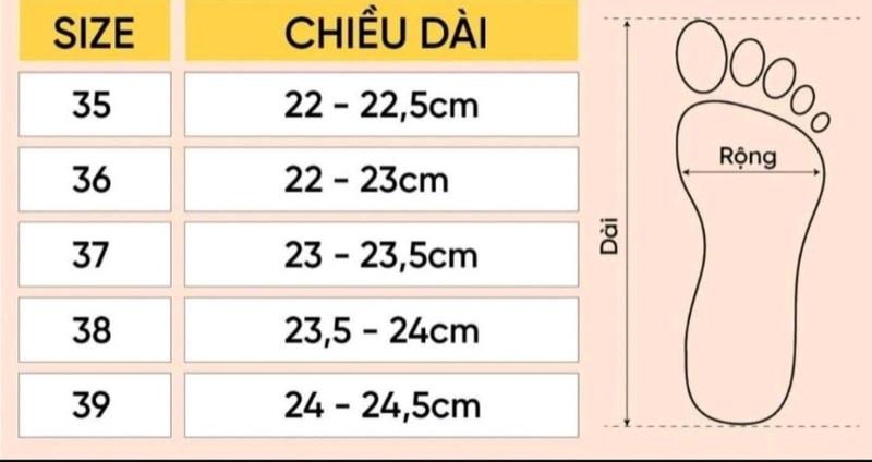 Product Introduction of Dép lê nữ đế kem da vân rất nhiều màu sang sịn phù hợp với mọi lứa tuổi. GiàY DéP Shoes 0