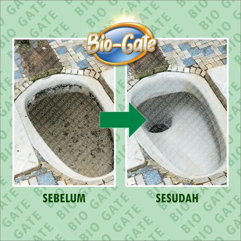 (500ml) BIOGATE - Obat Penguras WC Mampet Penuh Aman & Proses Cepat 2