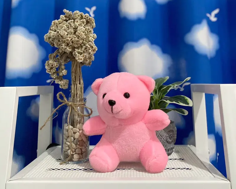 Boneka Bear Mini Boneka Teddy Bear Buket 15-16 Cm Dolls Kado Toys 5