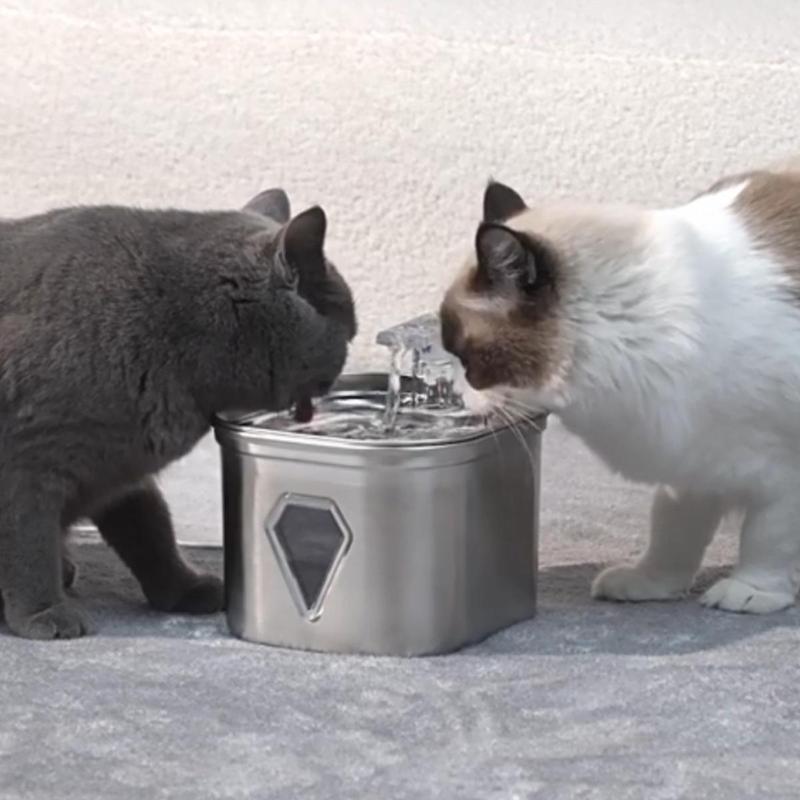 2.5L Stainless Steel Pet Water Dispenser, Large Capacity Pet Water Fountain, Pet Drinking Fountain, Dog & Cat Accessories, Feeding Supplies 4