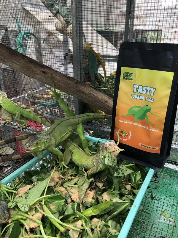 Thức ăn rồng nam mỹ Tasty Iguana 2