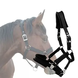 Kelebihan Tali Kekang Panjang 1,5–1,65m untuk Kuda Besar