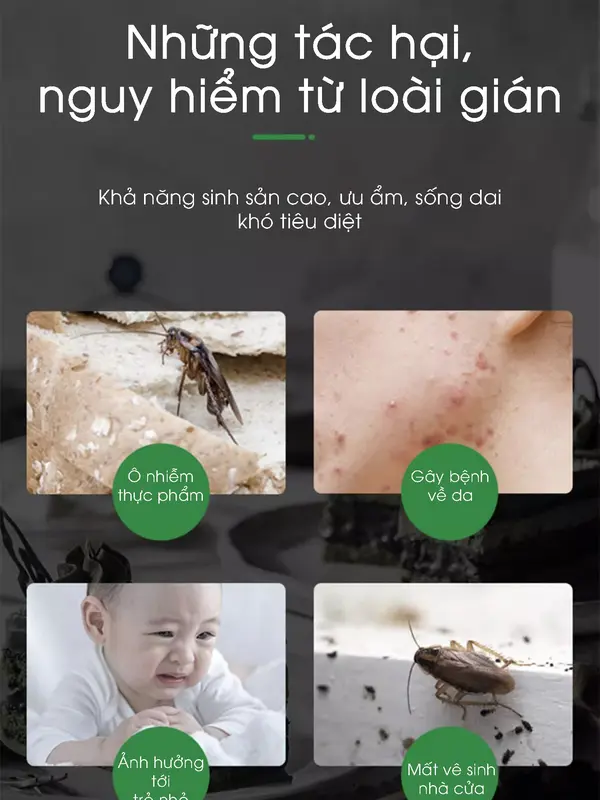 Viên trị gián sinh học AMB, Viện Hàn lâm khoa học Việt Nam, diệt tận gốc tất cả các loại gián, hiệu quả, an toàn Nhang xịtổgián Household Cleaners vien  xa 7