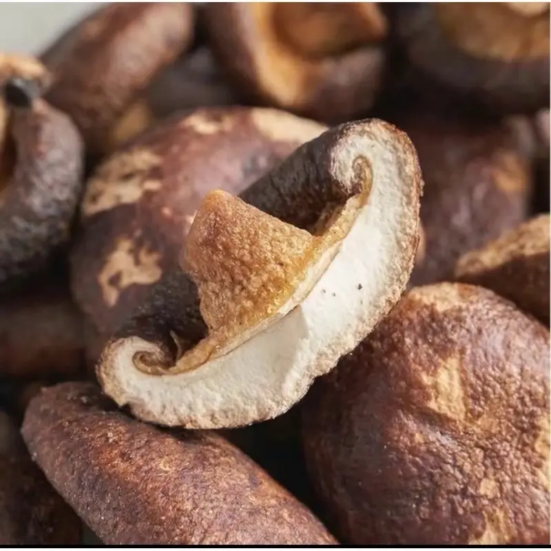 Nấm hương sấy thăng hoa nhà MAT, 500gr/ gói, thơm ngon Food Snack. mẫu mới ảnh cuối 2