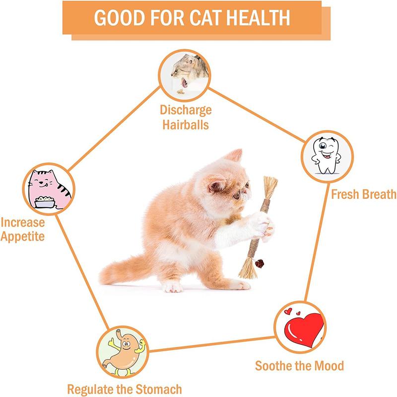 Product Introduction of Wooden Polygonum Stick Bite Combination New Cat Toy Teeth Grinding Tooth Cleansing Removal Fresh Breath 1