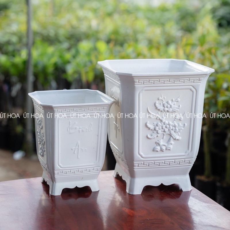Chậu nhựa Vuông tứ quý trồng cây cảnh sang trọng chậu trồng cây