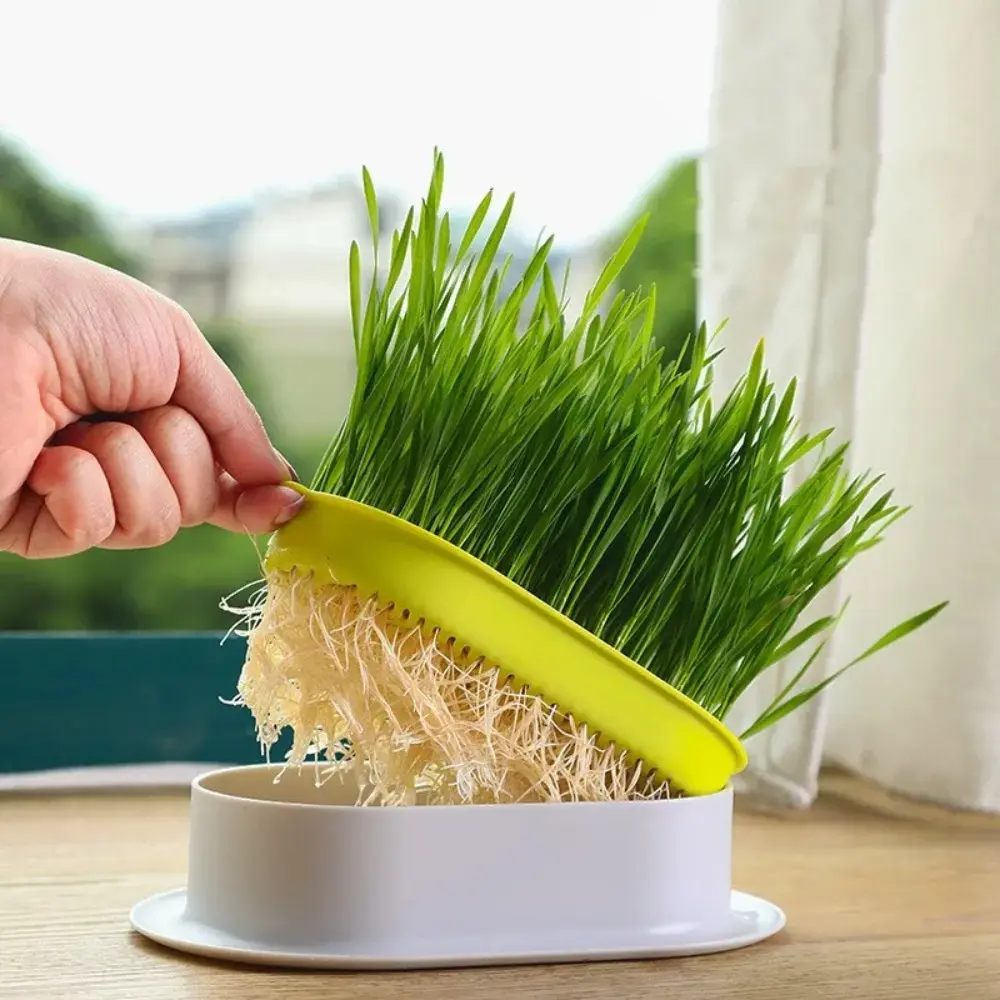 1set Pet Cat Sprout Dish Growing Pot Hydroponic Plant Greenhouse Grow Box Cat Grass Germination Digestion Starter Dish