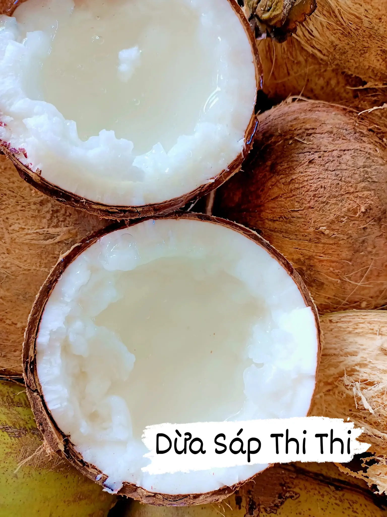[Dừa Sáp Thượng Hạng Loại 1 - Size Lớn] (Trái 1Kg-1.1Kg) - Sáp Chuẩn Loại 1 Thượng Hạng