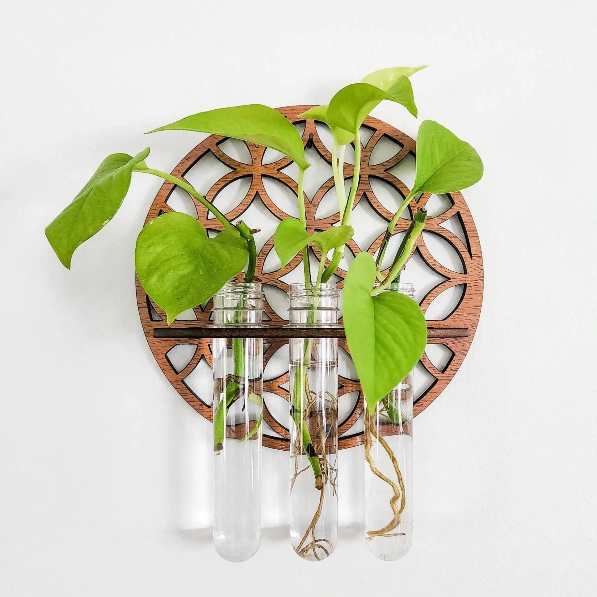 Modern Round Hollow Out Wooden Plant Holder without Plant, 3 in 1 Wall Mounted Glass Container, Wall Decor Indoor Hydroponic Plant Vase for Home Garden