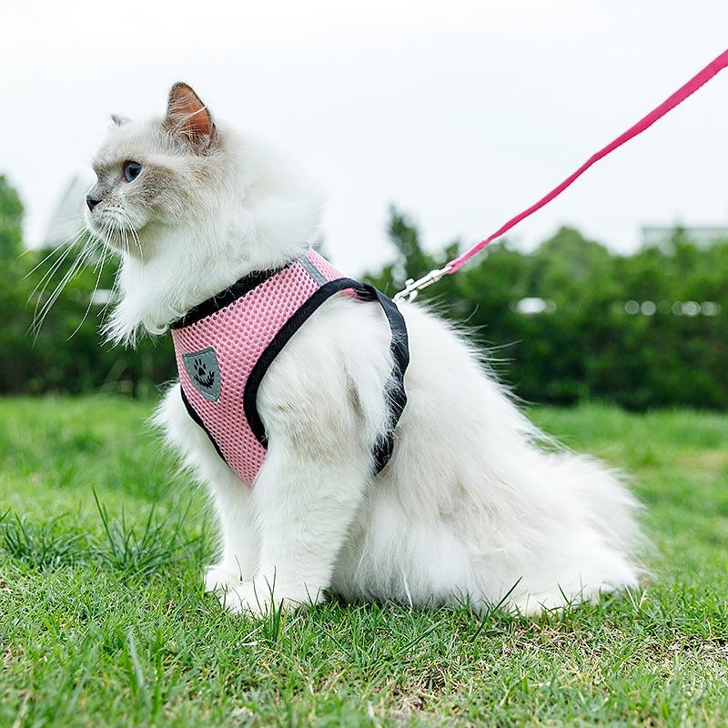Product Introduction of Cat leash harness cat collar leash set cat leash for Cat puppy leash and collar Dog leash Pet leash 11