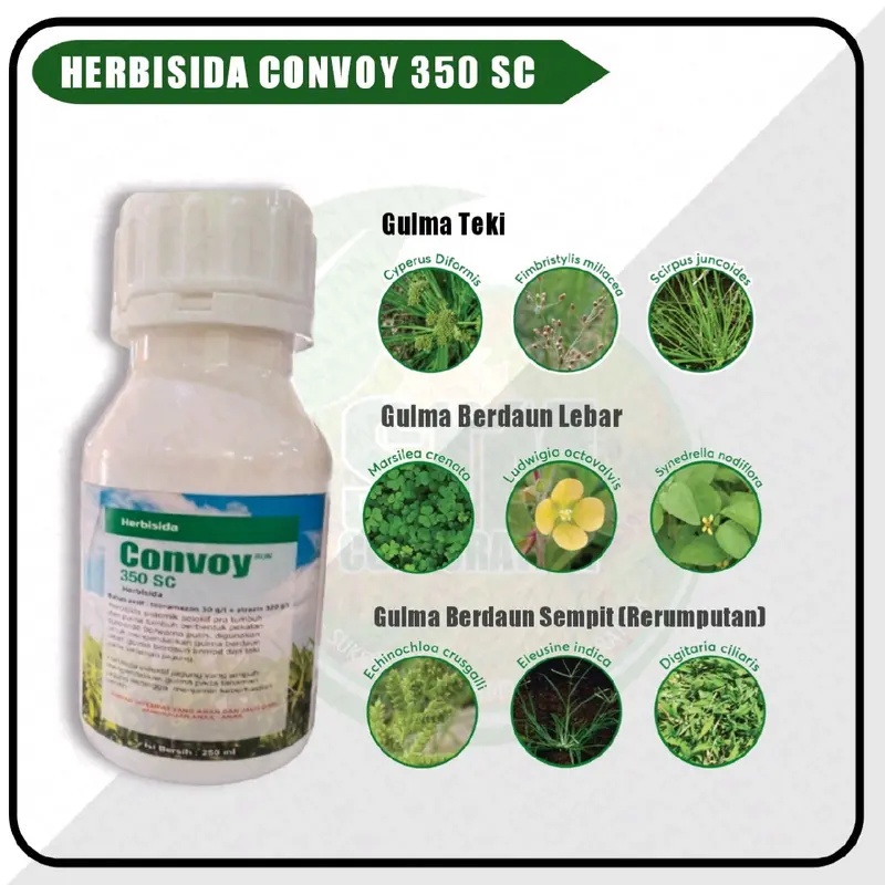 Convey | Convoy 250 ml | Herbisida | Obat Gulma Jagung Kebun Ramah Lingkungan 0