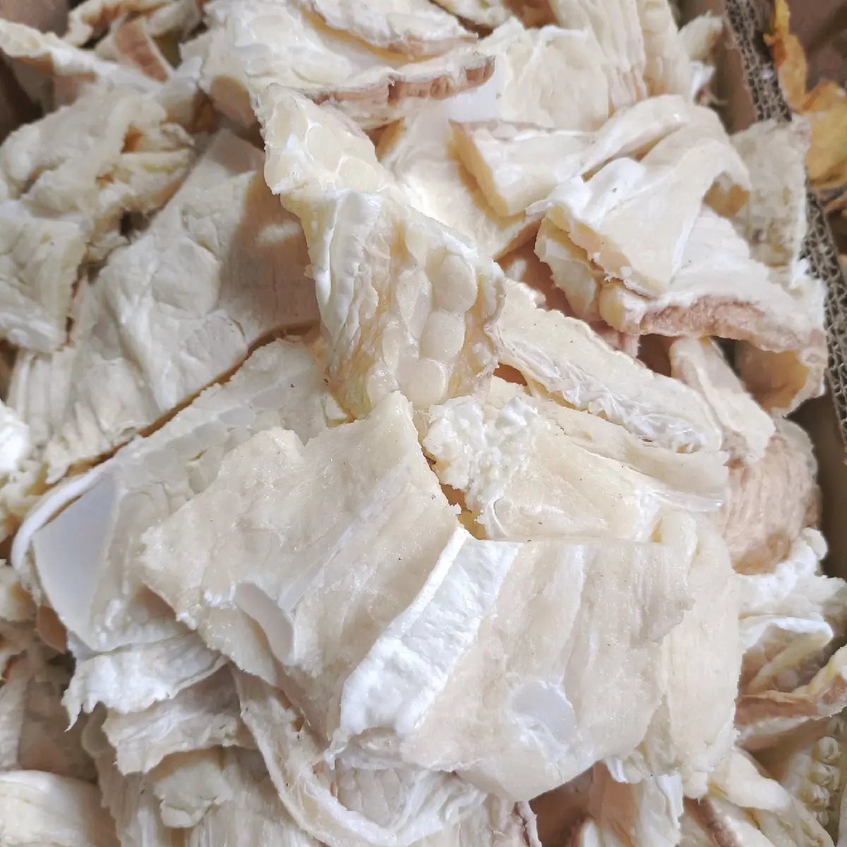 IKAN ASIN PARI TERMURAH SETIKTOK