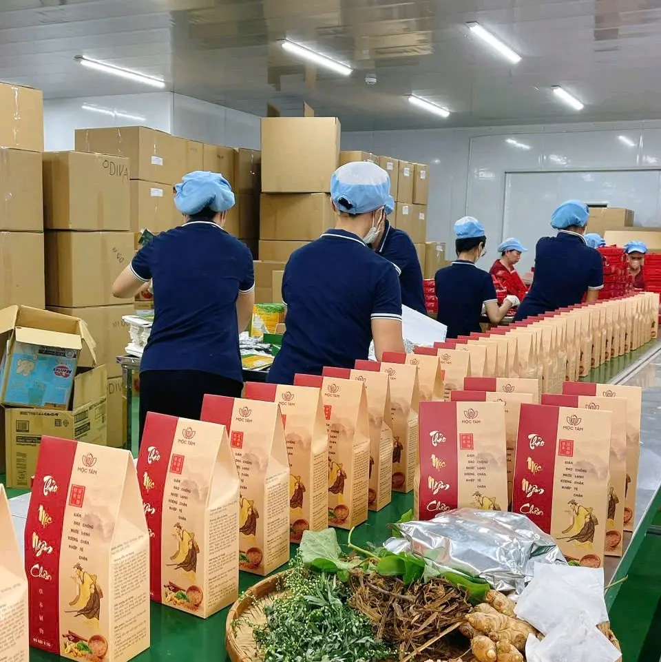Thảo dược ngâm chân giúp ngủ ngon, ngủ sâu giấc, giảm đau nhức tê bì tay chân (Bịch 60 túi lọc)