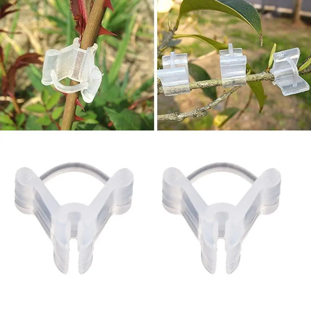Kẹp Ghép Cây, Có Thể Tái Sử Dụng, Dụng Cụ Cố Định Hỗ Trợ, Kẹp Trong Suốt, Cho Rau Củ Và Hoa, Thích Hợp Cho Cà Chua, K3F6