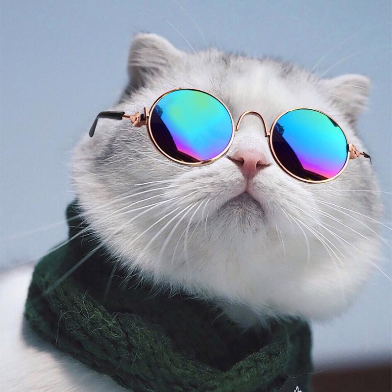 Fashion Eye Glasses for Cats, Retro Circular Cool Sunglasses, Pet Costume Supplies, Round Frame Glasses Photo Props for Small Medium Pets Kids Boys Girls 7