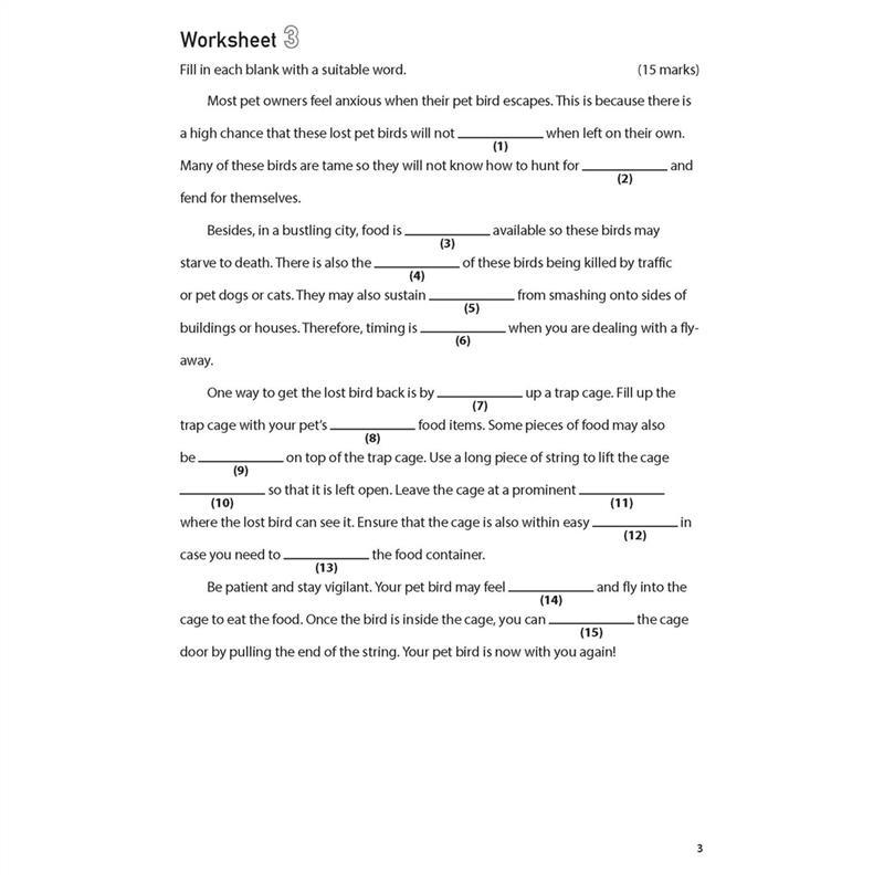 Product Introduction of High Quality 100 English Worksheets Primary 5  Comprehension Cloze | Latest MOE Syllabus Assessment Books 8