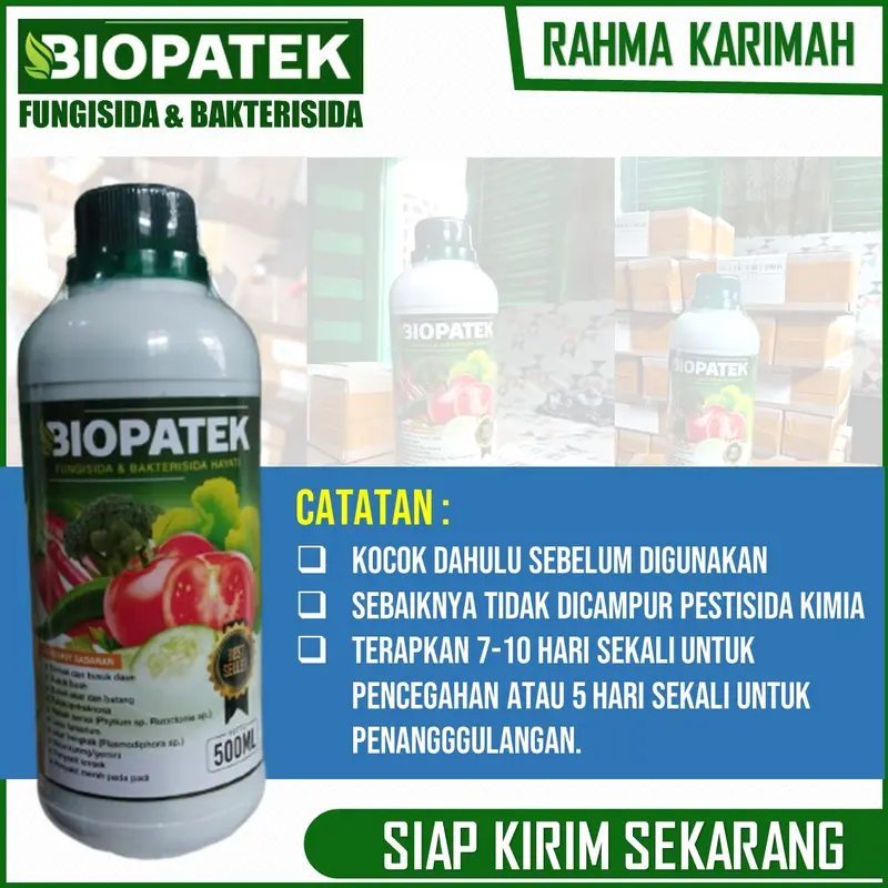 OBAT Layu Fusarium dan Layu Bakteri Cabe BIOPATEk 500 ML – Pupuk Organik Semprot Atasi Layu Buah, Daun dan Batang Cabe – Pupuk Semprot Atasi Layu Keriting Daun, Busuk Buah, Batang dan Busuk Akar Cabe – Pupuk Atasi Penyakit Tanaman Cabe 6