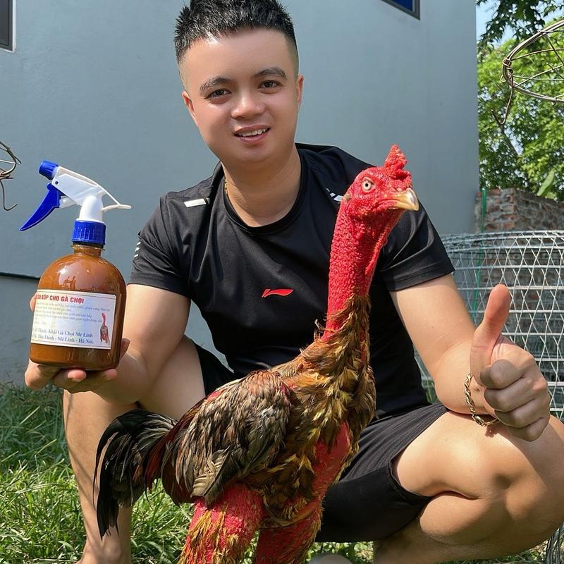 Chai om kèm vòi xịt dùng cho gà chọi