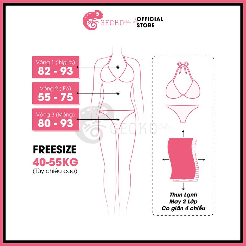 Product Introduction of Bikini GECKO 2 Mảnh Áo Chéo Quần Nhỏ Đan Dây 2M39-A (Ảnh Thật, Top, Nữ, Women, 9 Màu) Thun 0